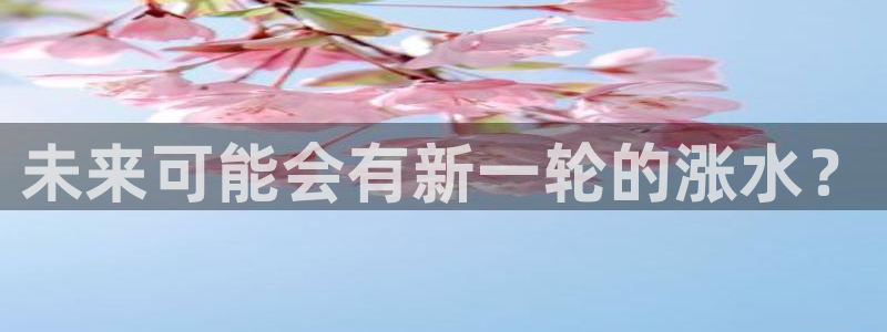 门徒娱乐app哪个模式容易赢：未来可能会有新一轮的涨水？