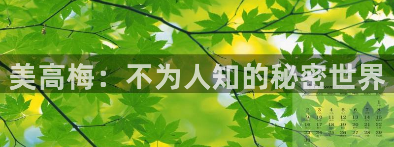 门徒娱乐f凯捷平台在线注册：美高梅：不为人知的秘密世界
