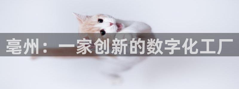 门徒娱乐：亳州：一家创新的数字化工厂