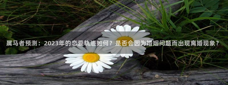 门徒娱乐2代理注册：属马者预测：2023年的恋爱轨迹如何？是否会因为婚姻问题而出现离婚现象？
