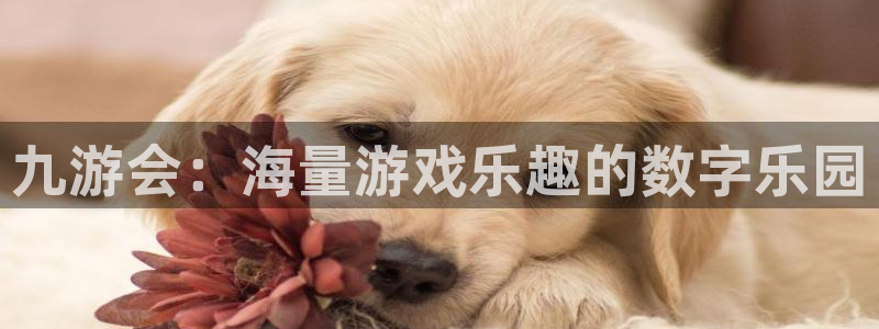 门徒娱乐登录界面入口：九游会：海量游戏乐趣的数字乐园