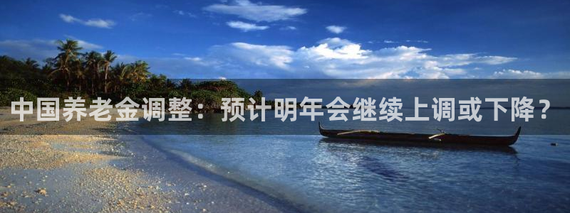 门徒娱乐平台注册账号：中国养老金调整：预计明年会继续上调或下降？
