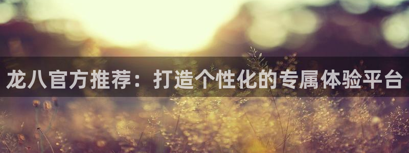 门徒娱乐2平台：龙八官方推荐：打造个性化的专属体验平台