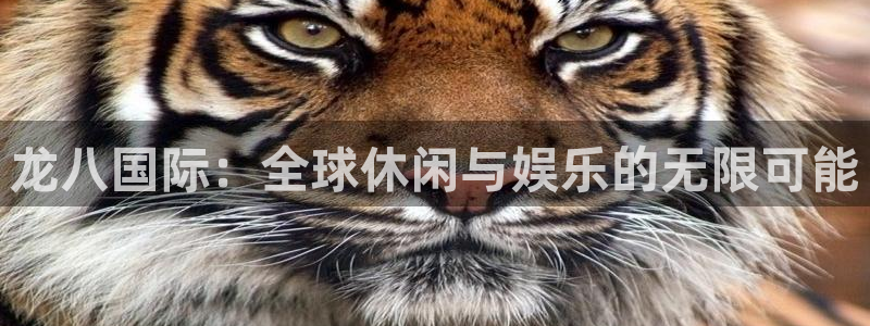 门徒娱乐体育官网：龙八国际：全球休闲与娱乐的无限可能