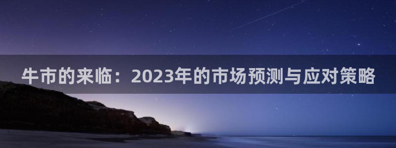 门徒娱乐.com：牛市的来临：2023年的市场预测与应对策略