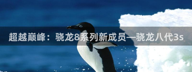 门徒娱乐游戏官网版：超越巅峰：骁龙8系列新成员—骁龙八代3s