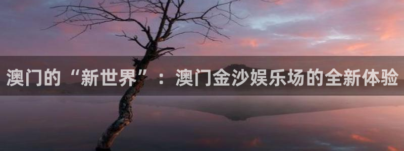 门徒娱乐app哪个模式容易赢：澳门的“新世界”：澳门金沙娱乐场的全新体验