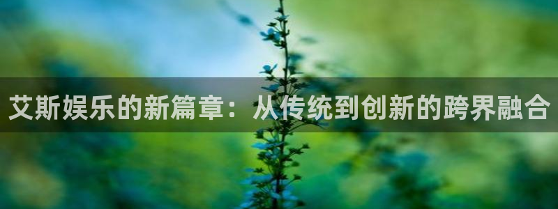 门徒娱乐3登陆：艾斯娱乐的新篇章：从传统到创新的跨界融合
