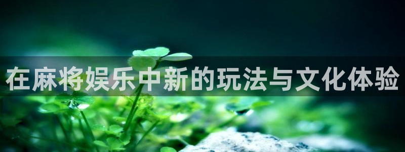 门徒娱乐5招商：在麻将娱乐中新的玩法与文化体验