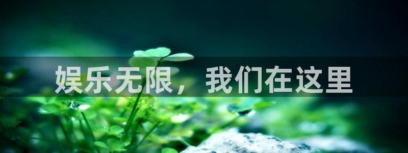 门徒娱乐平台开户链接：娱乐无限，我们在这里