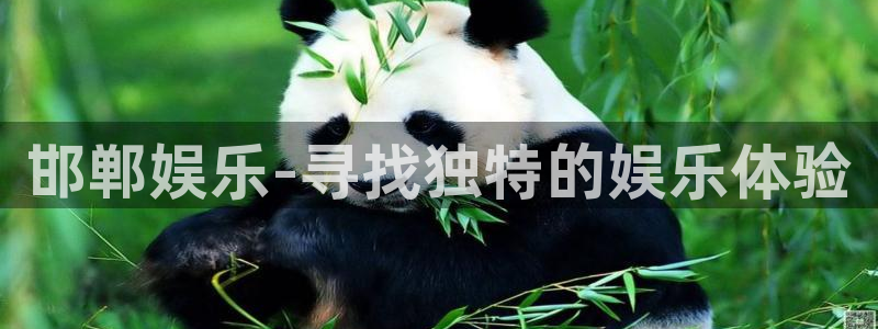 门徒娱乐3注册：邯郸娱乐-寻找独特的娱乐体验