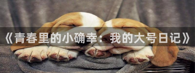 上海门徒娱乐汽车电子有限公司：《青春里的小确幸：我的大号日记》