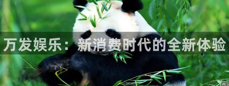 门徒娱乐平台开户：万发娱乐：新消费时代的全新体验