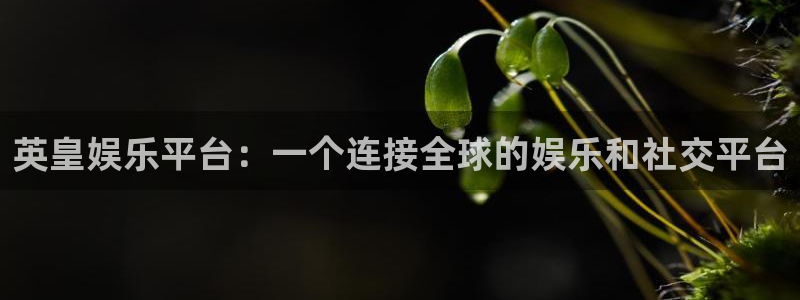 门徒娱乐平台官网：英皇娱乐平台：一个连接全球的娱乐和社交平台
