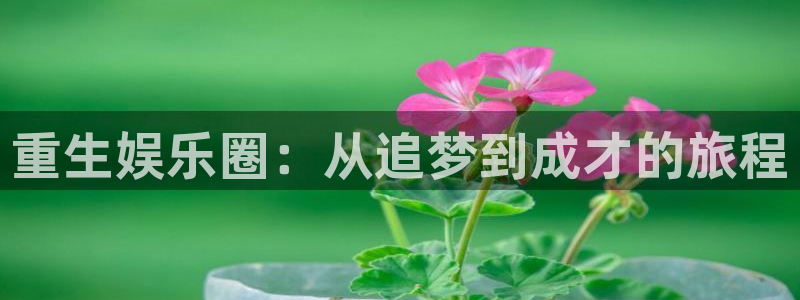 门徒娱乐体育老板是谁：重生娱乐圈：从追梦到成才的旅程