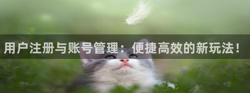 门徒娱乐电子游戏网页版：用户注册与账号管理：便捷高效的新玩法！