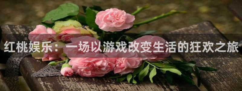 门徒娱乐体育代理：红桃娱乐：一场以游戏改变生活的狂欢之旅