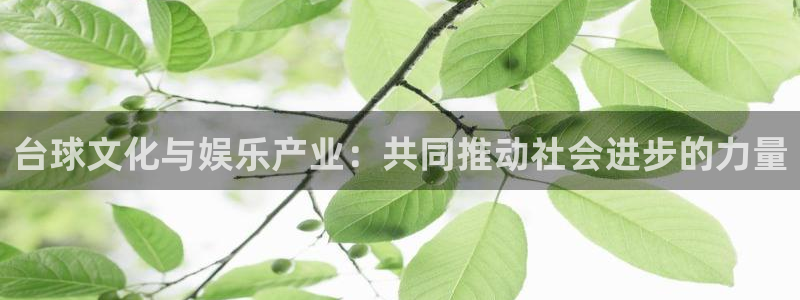 门徒娱乐vk