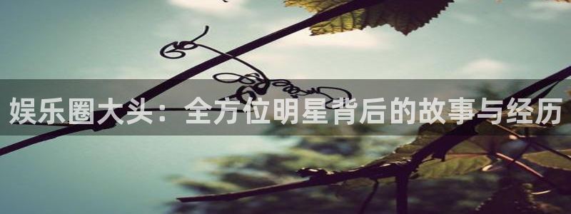 门徒娱乐2注册：娱乐圈大头：全方位明星背后的故事与经历