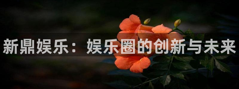 门徒娱乐体育平台开号链接：新鼎娱乐：娱乐圈的创新与未来