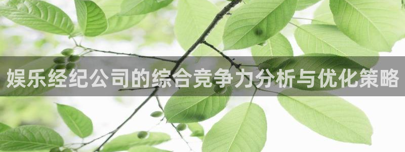 门徒娱乐账号注册入口：娱乐经纪公司的综合竞争力分析与优化策略