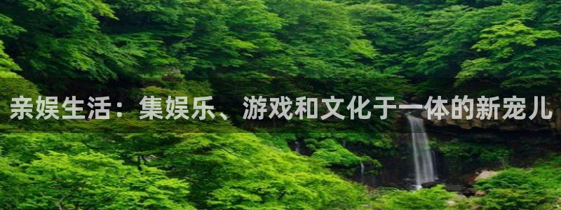 门徒娱乐预测pc在线预测网址：亲娱生活：集娱乐、游戏和文化于一体的新宠儿