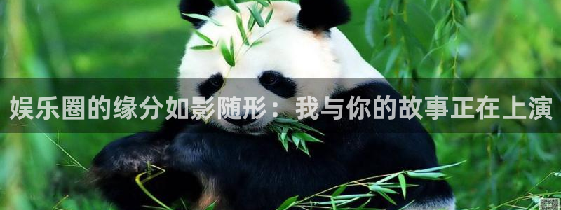 门徒娱乐体育热门赛事有哪些：娱乐圈的缘分如影随形：我与你的故事正在上演