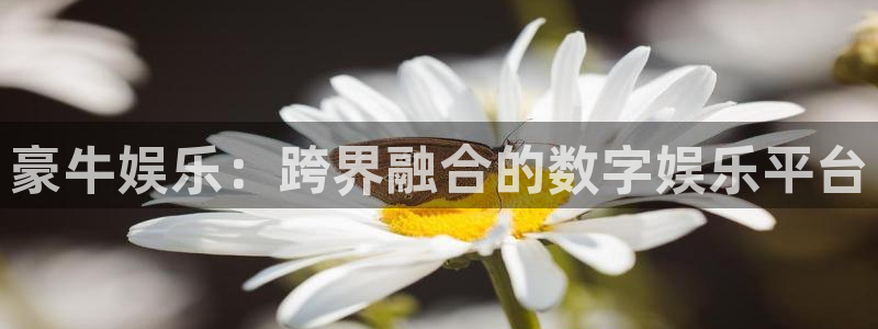 门徒娱乐登录界面入口：豪牛娱乐：跨界融合的数字娱乐平台