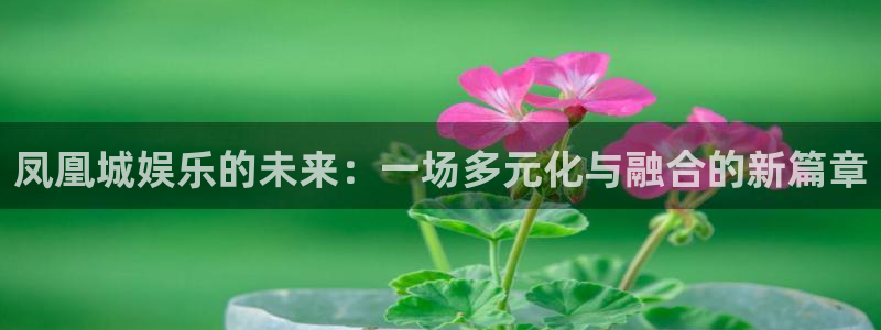 门徒娱乐